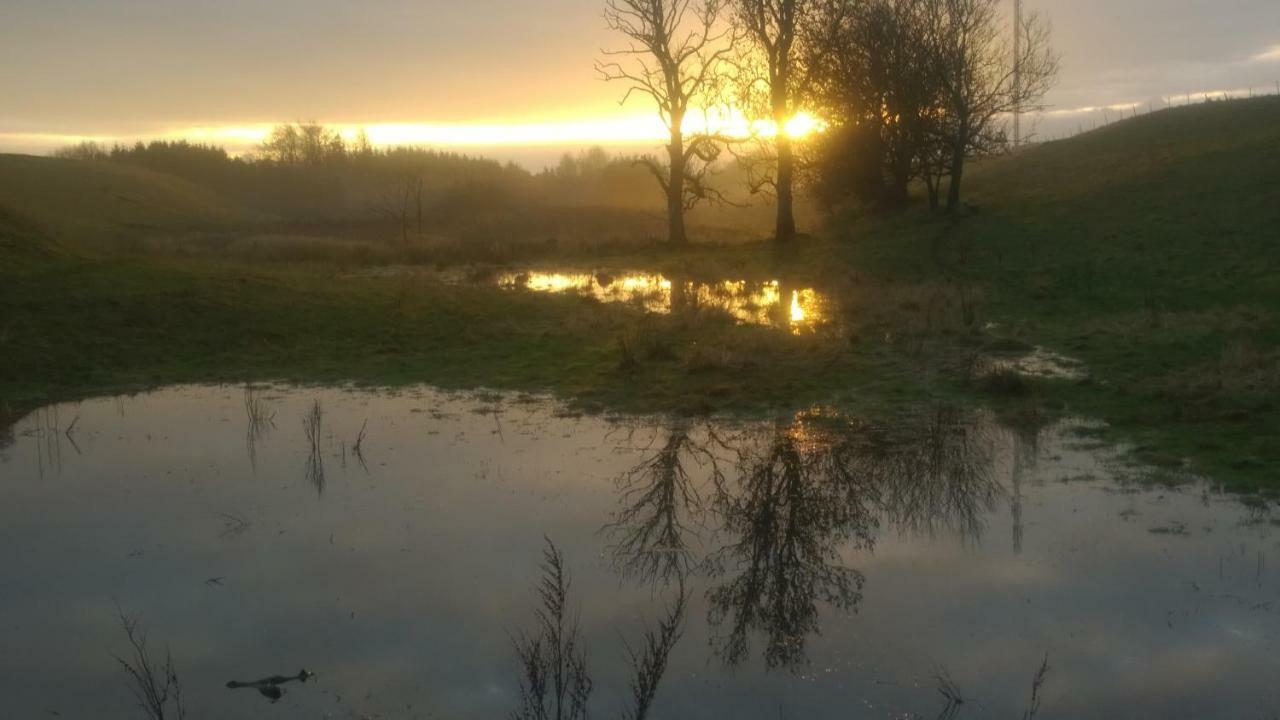 Appartamento Peterslund Östra Tommarp Esterno foto