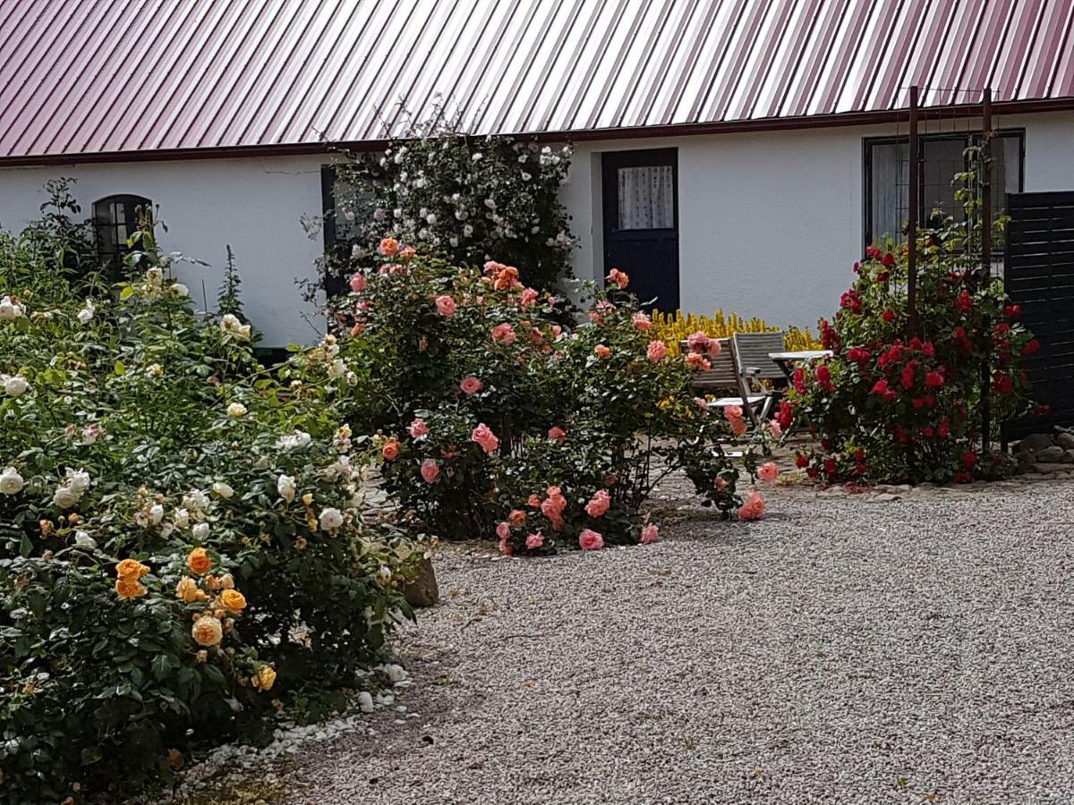 Appartamento Peterslund Östra Tommarp Esterno foto